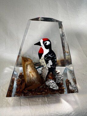 Vintage Lucite Paperweight Hand Painted & Carved Woodpecker Signed Unique Canada